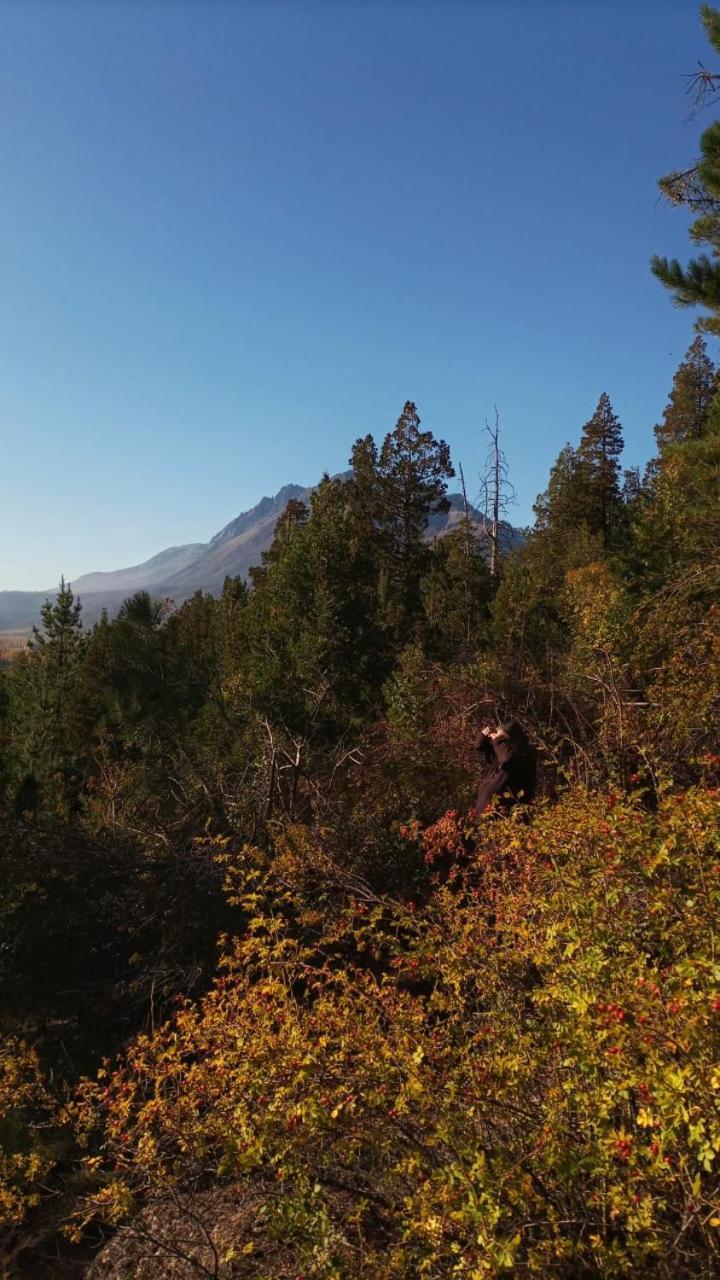 Criollo Lodge Hoyo de Epuyén Exteriér fotografie